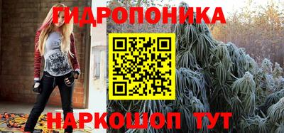 прущие крисы Тверь