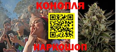 прущие крисы Тверь