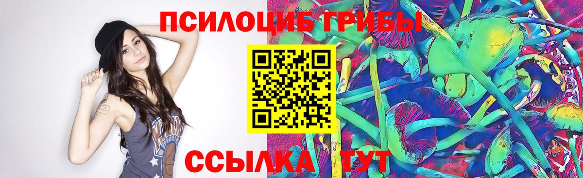 Галлюциногенные грибы Magic Shrooms  наркотики  Павлово  Вход с VPN 